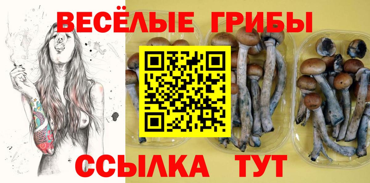 Псилоцибиновые грибы GOLDEN TEACHER Обнинск